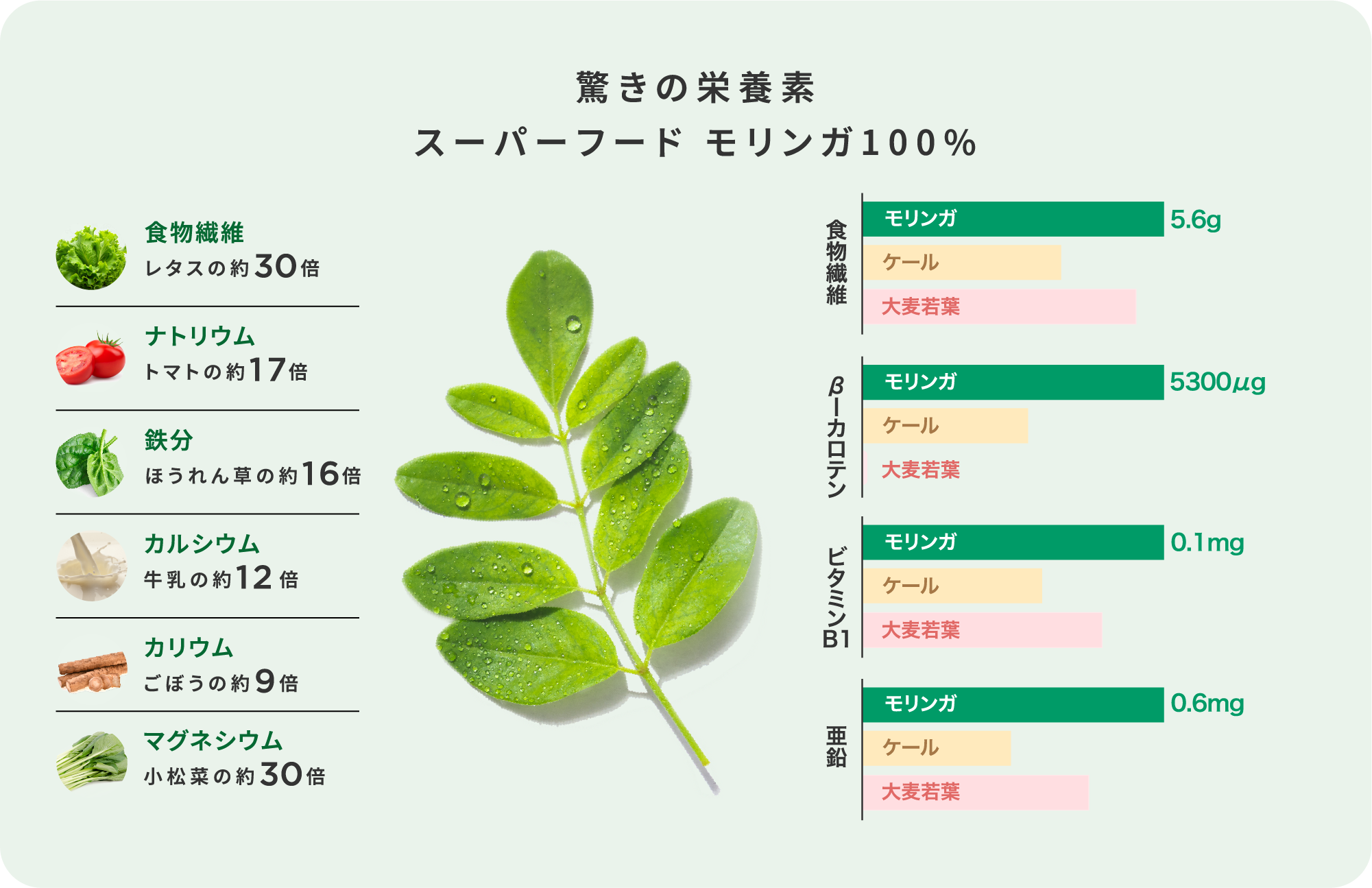 驚きの栄養素スーパーフード モリンガ100%